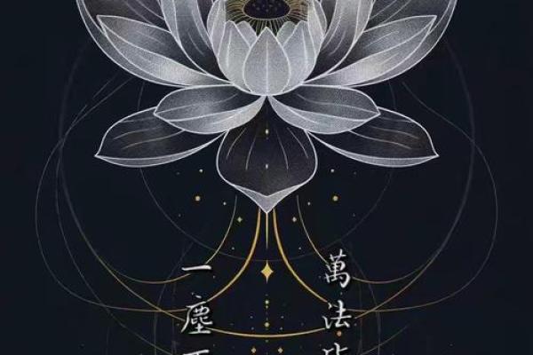 命理乾坤的智慧：如何运用天命掌握人生轨迹