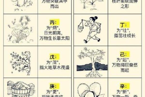 探秘天干地支对中国命理学的影响