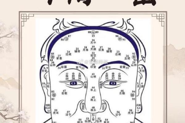 男人鼻子面相揭秘：哪些鼻型预示着事业成功