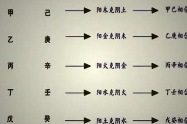 十二地支与五行的关系解析