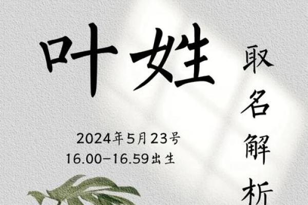 叶姓男孩名字推荐与寓意解析