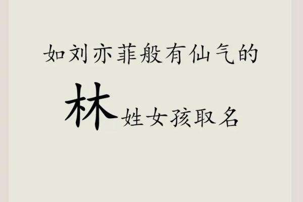 林姓取名大全，精选独特名字助力人生