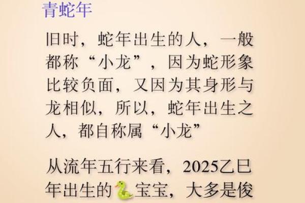 蛇宝宝命名宝典：根据蛇的品种和性格为其命名