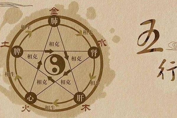 森字的五行属性分析及其对命理的影响