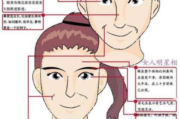 眼睛面相图解：揭示眼睛形状背后的深层含义