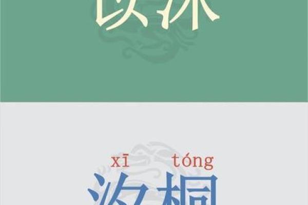 女孩名字的文化象征与历史背景