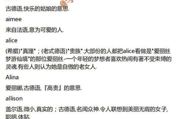 英文名字的选择技巧与文化背景解析
