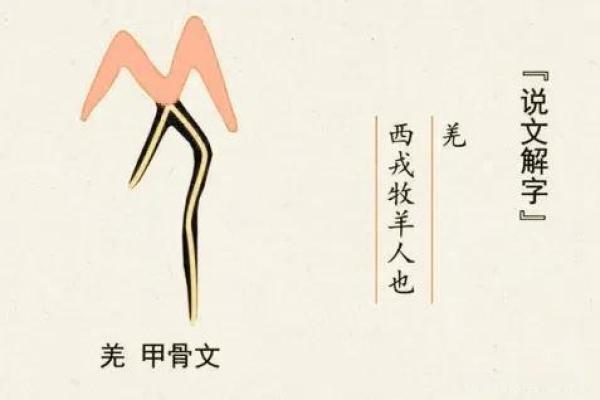 探秘明星名字的背后含义：文化与家庭的深刻联系