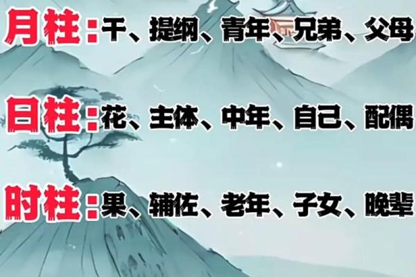 十二地支长生奥秘解析与命理影响揭秘