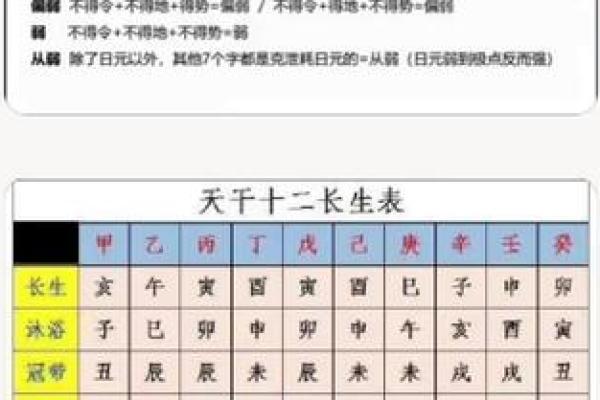 十二地支长生奥秘解析与命理影响揭秘