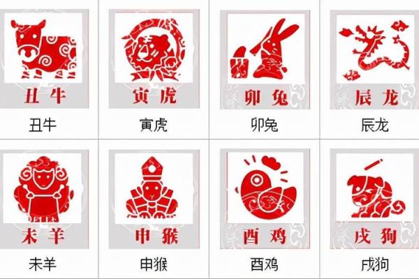 十二生肖与十二地支的奇妙联系与文化解读