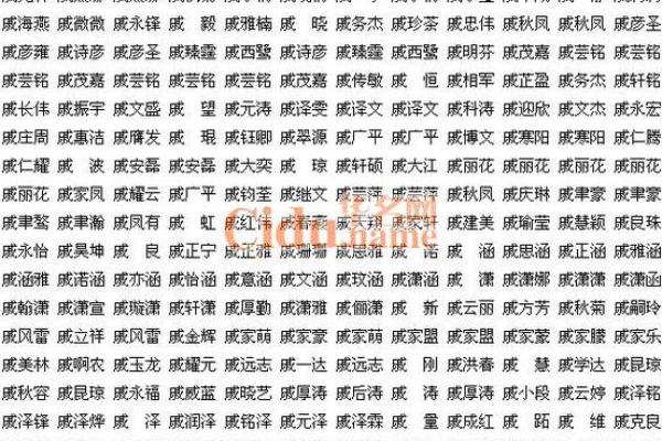 美腾起名网免费取名，让每个名字都独一无二