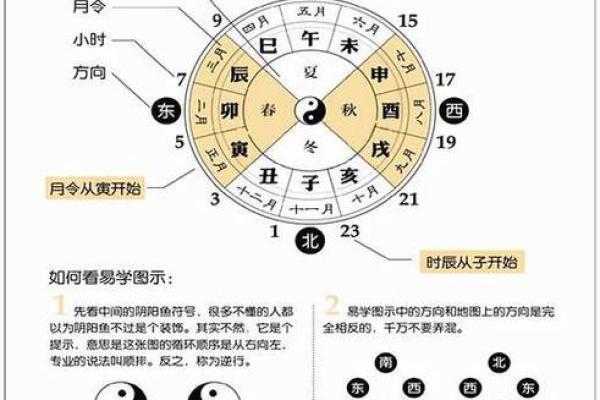 生辰八字的组成与意义解析