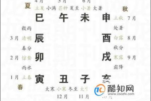 十二地支的起源与文化意义解析