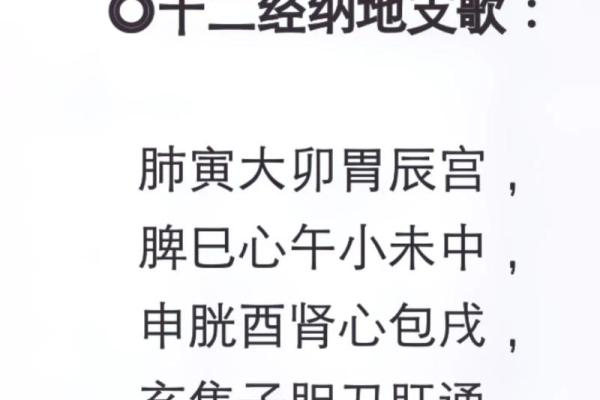 十二地支的起源与文化意义解析