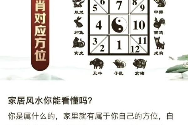 十二生肖与地支的神秘关联解读