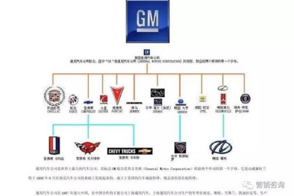 公司英文名称的重要性与选择策略