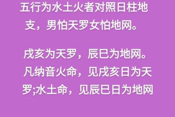 八字纳音在命理中的重要性与应用分析