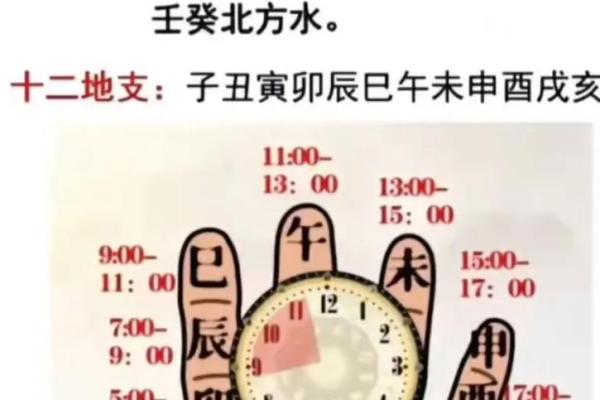 十二地支的正确读法及记忆技巧解析