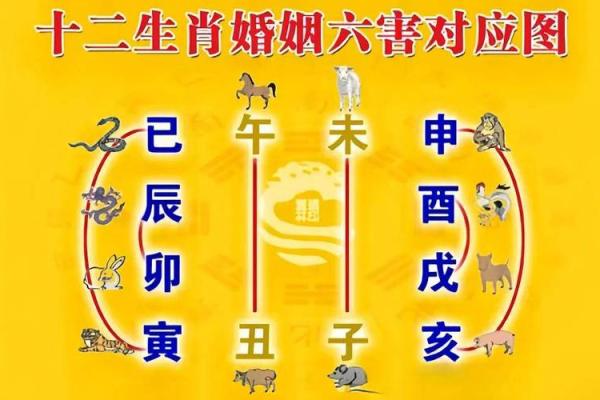 八字相合对婚姻的影响与破解方法