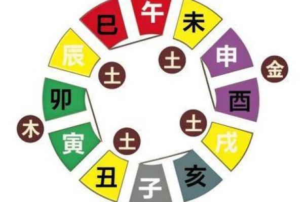 十二生肖与十二地支的深层联系解析