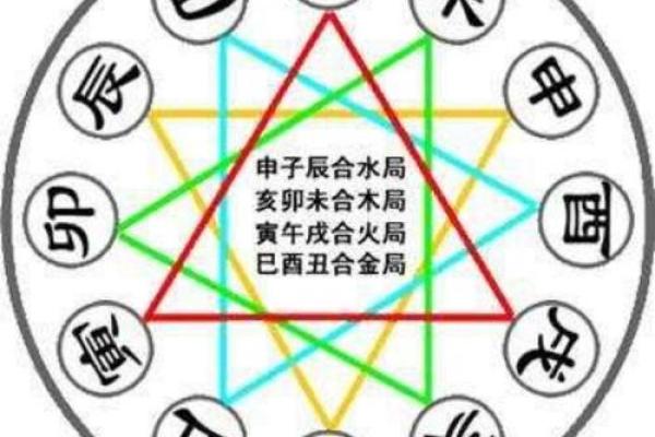 十二生肖与十二地支的深层联系解析