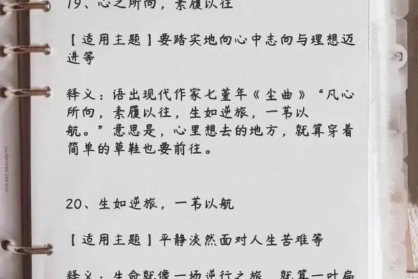 命理培训助力个人发展，掌握人生每一步