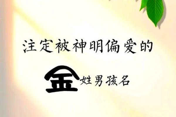 金姓男孩名字大全：寓意吉祥的名字选择