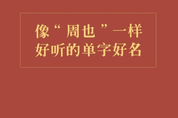 单字取名技巧与文化意义解析