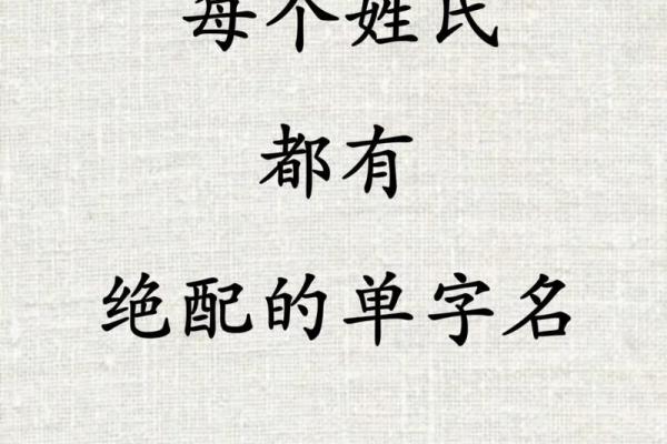 单字取名技巧与文化意义解析