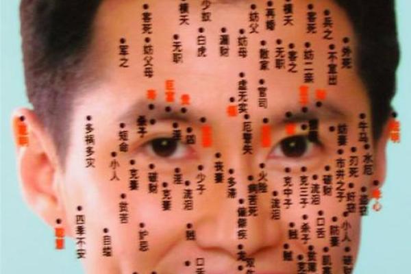 探索刘晓庆面相背后的命运密码与人生智慧