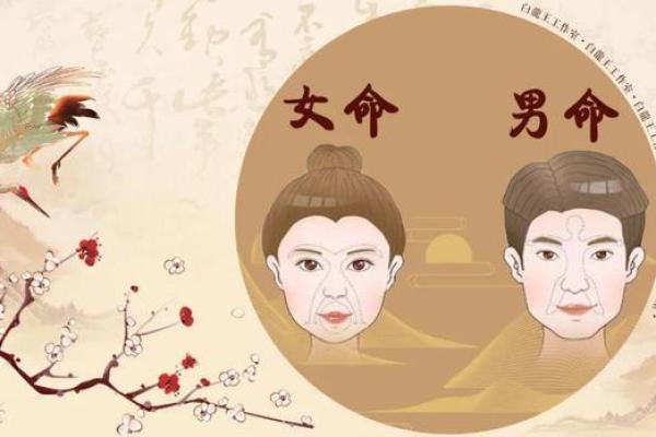 面相中的命运密码：从五官看出你的人生潜力与转折