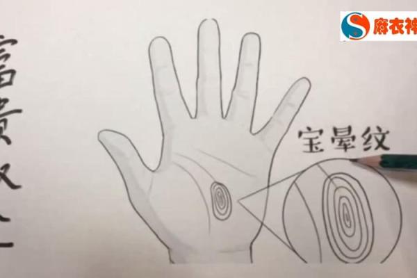 如何通过支解读人生运势