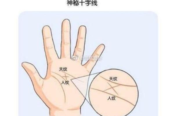 命理如何影响怀孕机率的神秘联系