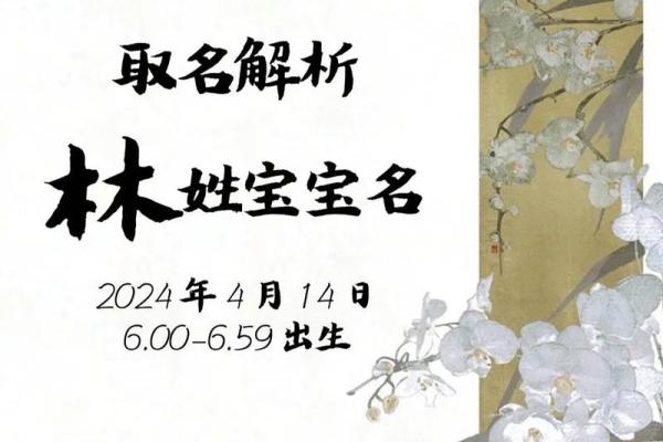 如何为林姓宝宝取一个有意义的名字