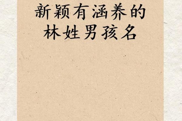 如何为林姓宝宝取一个有意义的名字