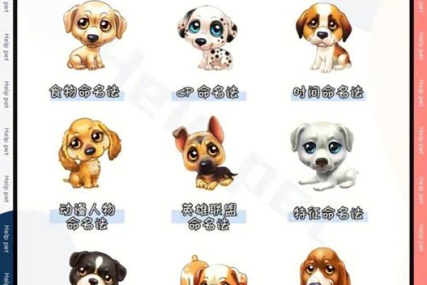 狗狗名字的趋势：最流行的宠物名字推荐