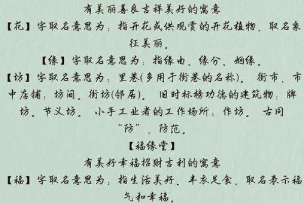 软件公司起名的创意指南：如何选择一个既独特又易记的名字