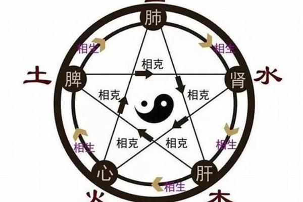 望字五行属性解析与命理影响