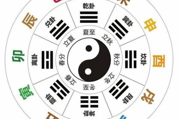 十二地支全面解析与应用技巧