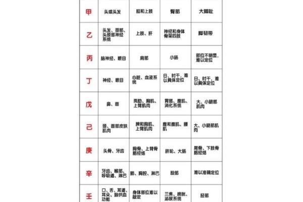 十二地支全面解析与应用技巧
