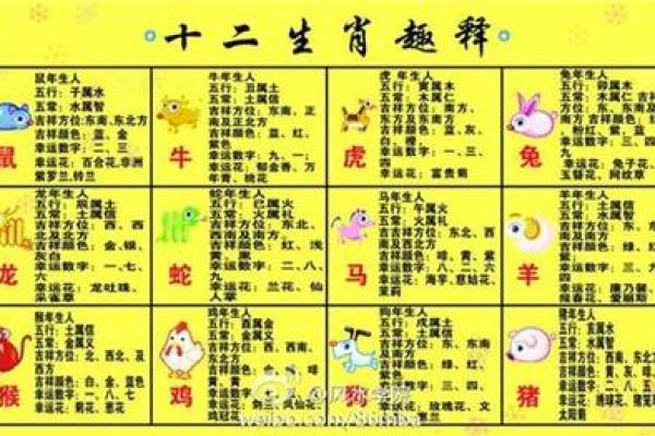 数字五行的五大元素与人生选择关系