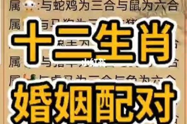 生辰八字婚姻配对免费测试，测测你的另一半是谁