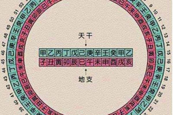 十大天干与生肖命运的奇妙联系