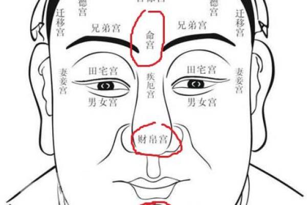 眉骨突出男人面相特点及其对性格的影响