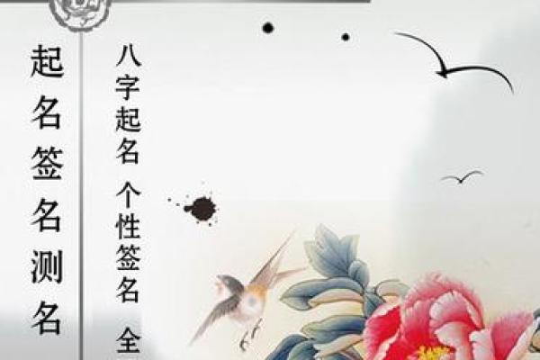 宠物取名宝典：从性格到外形的完美选择