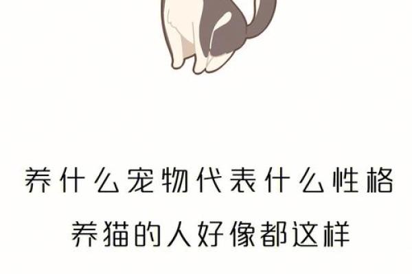 宠物取名宝典：从性格到外形的完美选择