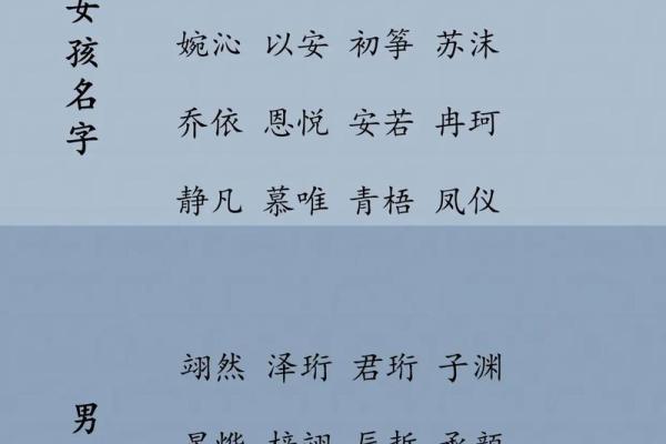 金姓男孩起名：给孩子一个响亮且有意义的名字