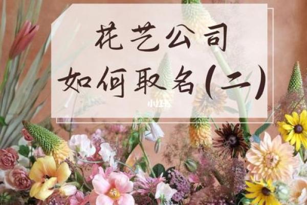 专业起名公司如何帮助企业脱颖而出