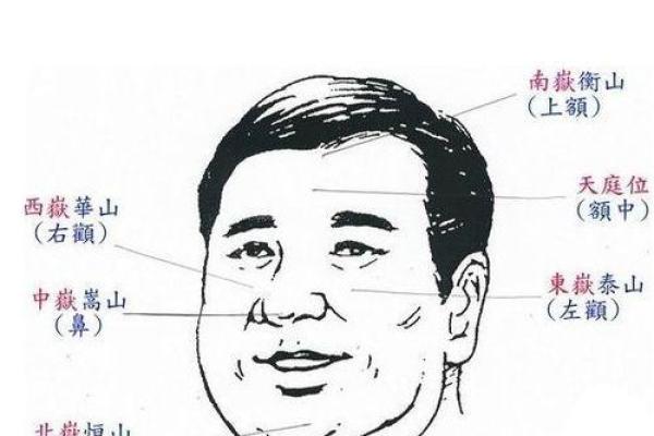 高低眼面相对运势的影响与解读